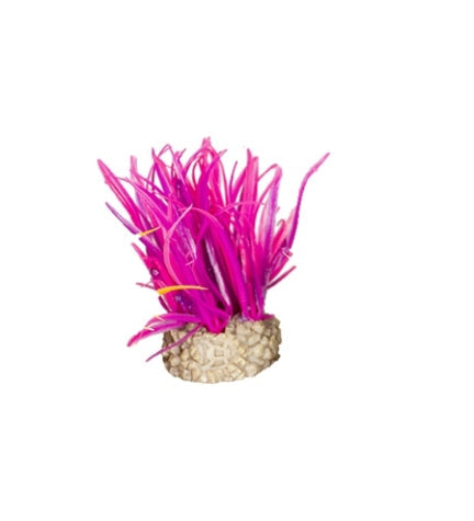 Aqua D'Ella Artificial Hair Grass Plant