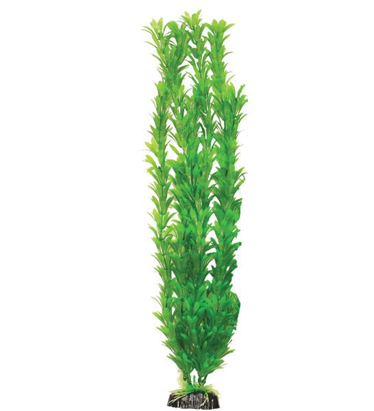 Hugo Kamishi Egeria Aquarium Plant Decor