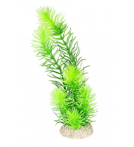 Aqua D'Ella Plant Hornwort for Aquariums