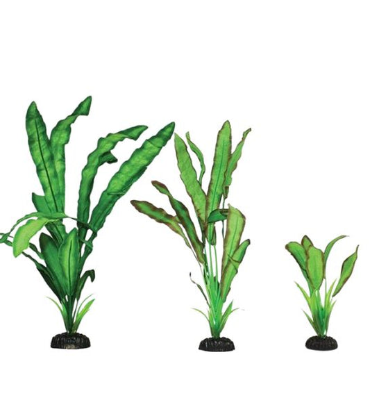 Hugo Kamishi Echinodorus Silk Aquarium Plant Decor