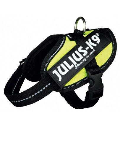 Julius-K9 IDC Neon Green Power Harness for Dogs