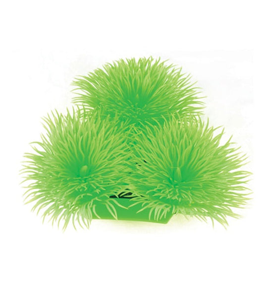 Hugo Kamishi Japonica Aquarium Plant Decor