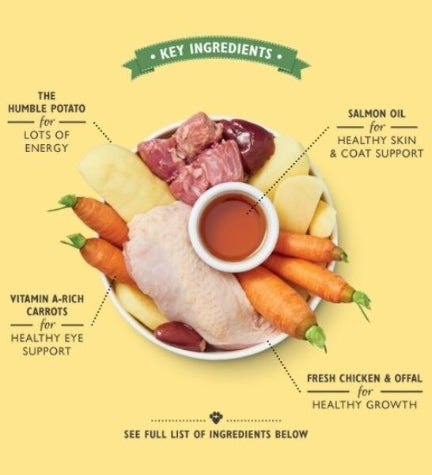 Lily's Kitchen Chicken Recipe Puppy Food 150G