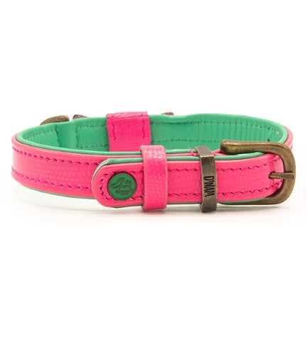 DWAM Blossom Dog Collar