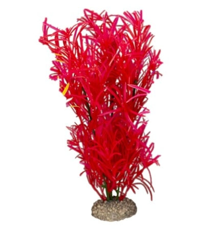 Aqua D'Ella Large Plant Hydrilla 2