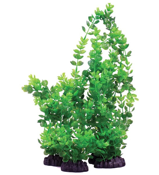 Hugo Kamishi Rotala Indica Aquarium Plant Decor