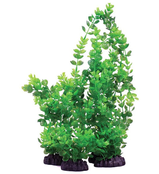 Hugo Kamishi Rotala Indica Aquarium Plant Decor