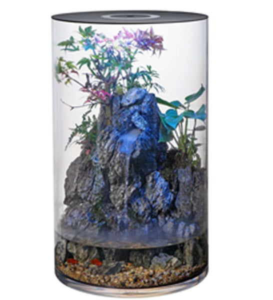 Katachi Lifestyle Takia Fish Home Tube Aquarium