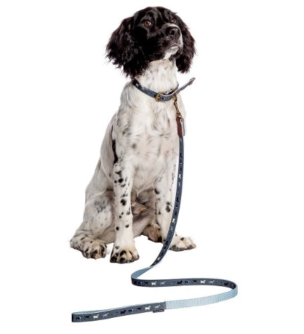 Danish Design FatFace Marching Dog Lead