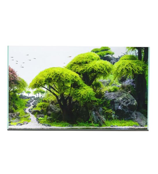 Exotic Aquariums Plant Tank Aquarium