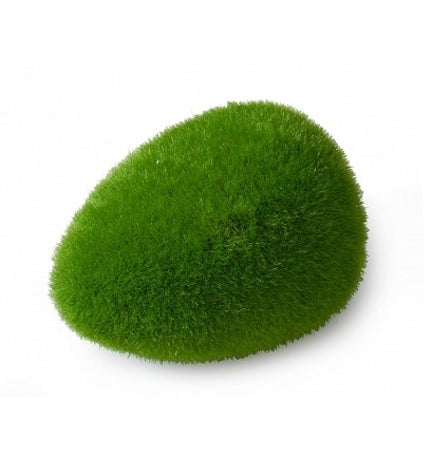 Aqua D'Ella Moss Ball for Aquariums