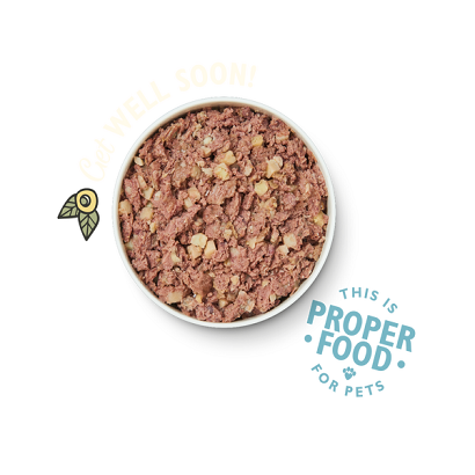 Lily's Kitchen Recovery Recipe Wet Dog Food 400G