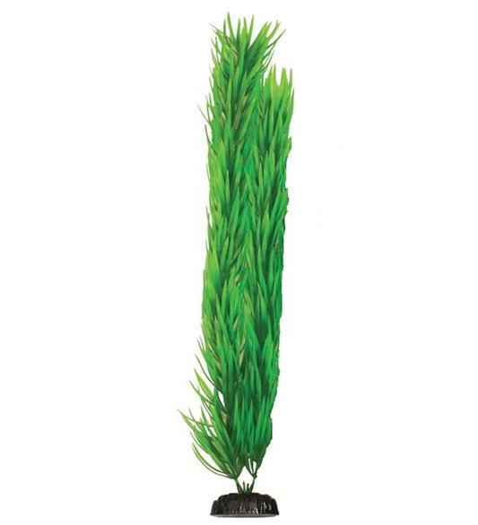 Hugo Kamishi Pogestemon Aquarium Plant Decor