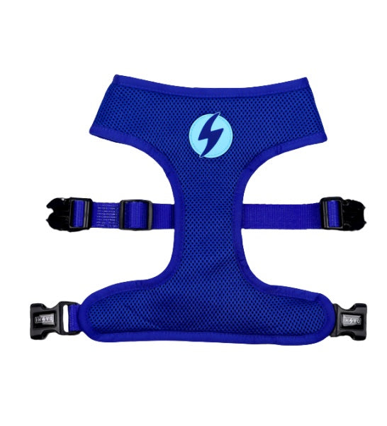 Dashi Nebula Neo Mesh Harness for Dogs
