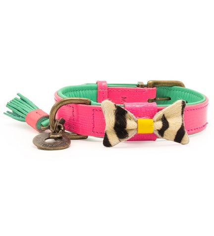 DWAM Blossom Dog Collar