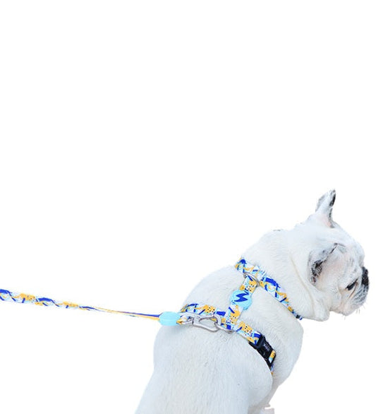 Dashi Nebula Back Harness for Dogs