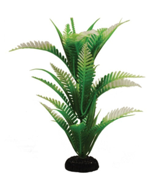 Hugo Kamishi African Fern Aquarium Plant Decor