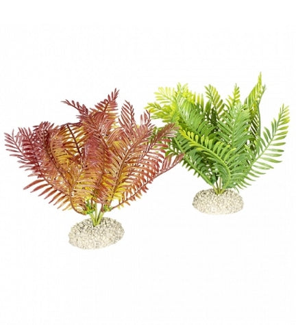 Aqua D'Ella Plant Bolbitis for Aquariums