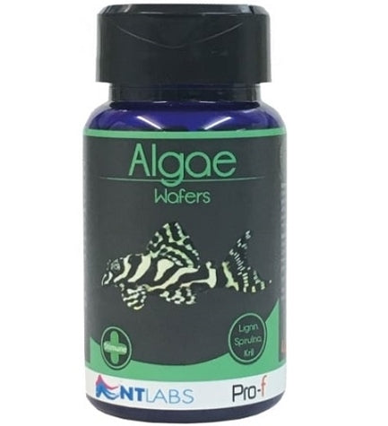NT Labs Algae Wafers Fish Food