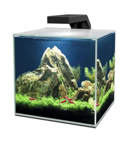 Ciano Cube 10 LED Aquarium