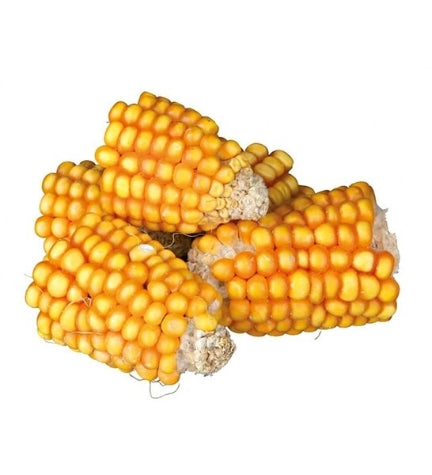 Trixie Pieces of Maize Cobs Small Pet Treats 300G
