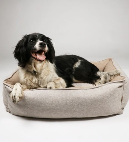 D&D Bob Basket Bed for Dog