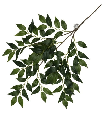 Terra D'Ella Hanging Plant Banyan