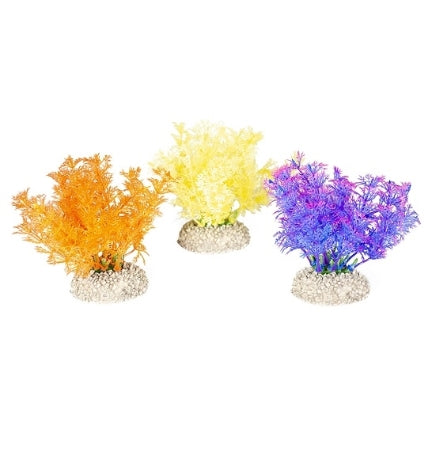 Aqua D'Ella Plant Hottonia Mixed Colors 2