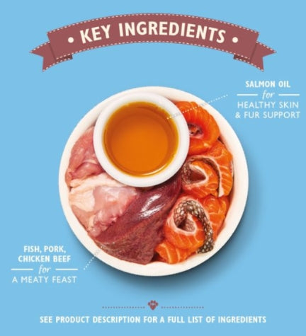 Lily's Kitchen Organic Fish Pate Wet Cat Food 85G