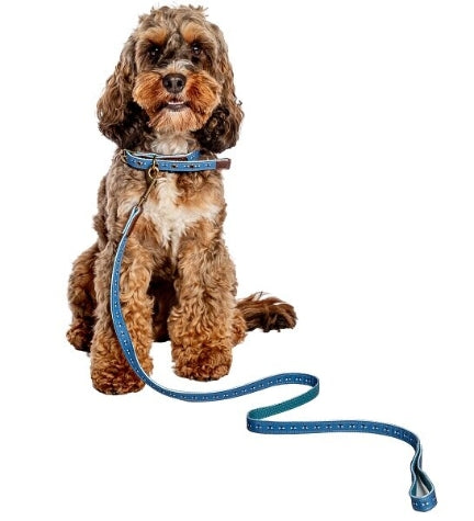 Danish Design FatFace Spotty Bees Dog Lead