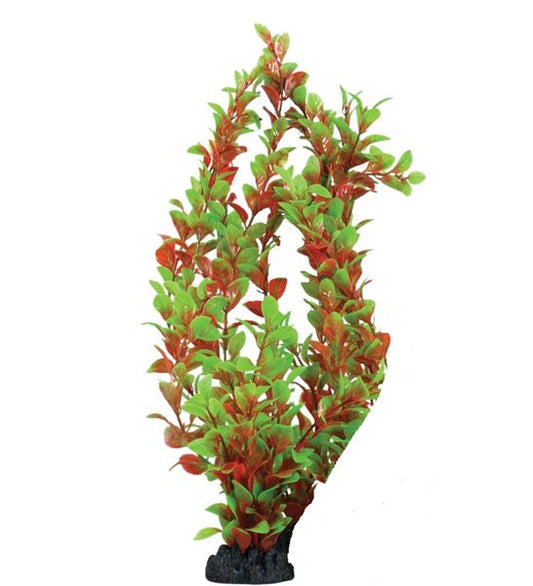 Hugo Kamishi Ludwigia Aquarium Plant Decor