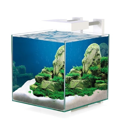 Ciano Nexus Pure 15 Cube Aquarium